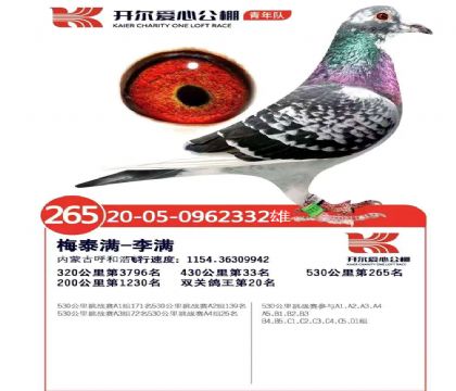 _(du)A(y)ِ33Qِ265