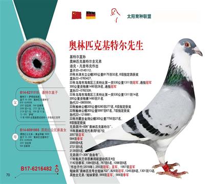 奧林匹克基特爾先生