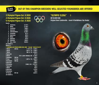 奧林匹克艾蓮娜