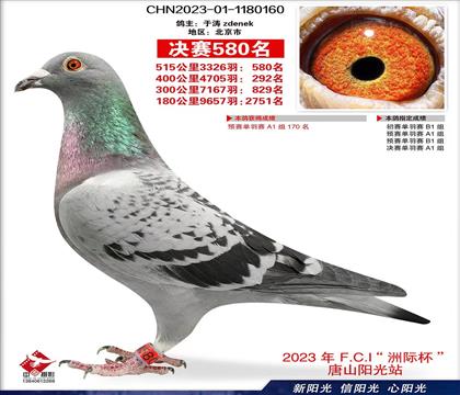 陽(yáng)光小棚決賽580名