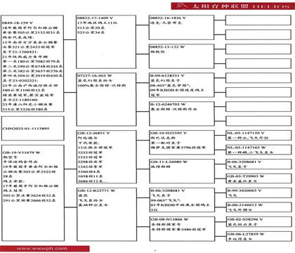血統(tǒng)書(shū)