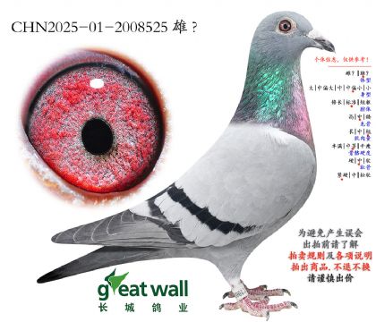 16._(ki)(chung)܊Ӵ.2008525