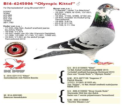 奧林匹克基特爾 006