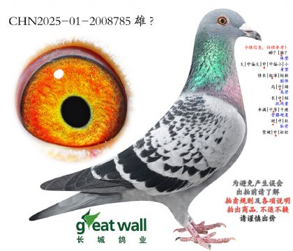 8.Zx_(d)900Ѫϵ.2008785