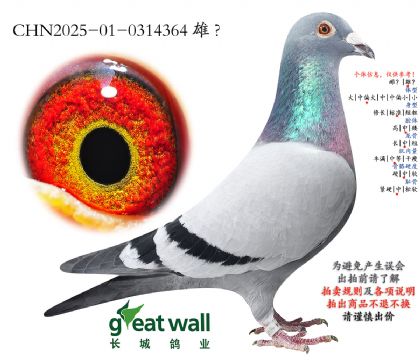 9.r(sh)xؠѪϵ.0314364