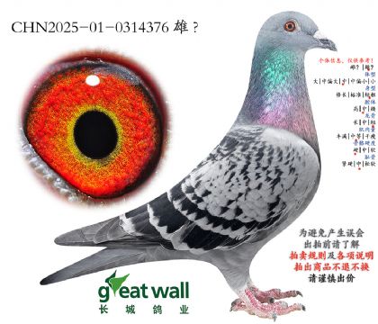 10._(ki)(chung)175Ӵ.0314376