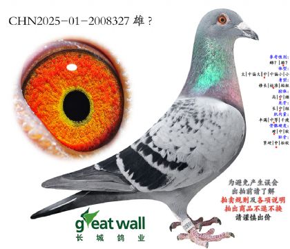 13.Ǽr(sh)݌O.2008327