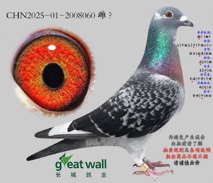 16._(ki)(chung)C9ƽ݅.2008060