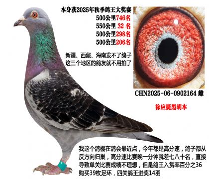 2025＾4500ɿ쑪(yng)ݺں