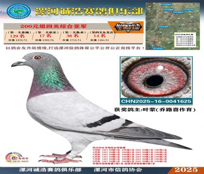 200元組四關(guān)鴿王亞軍