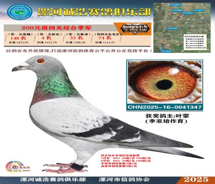 200元組四關(guān)鴿王季軍