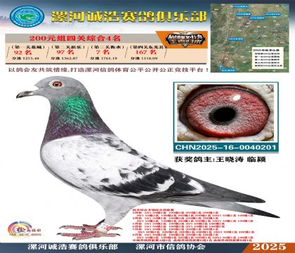 200元組四關(guān)鴿王4名