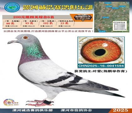 200元組四關(guān)鴿王6名