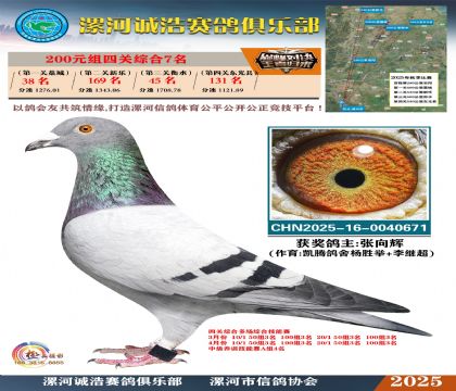 200元組四關(guān)鴿王7名