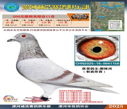 200元組四關(guān)鴿王11名