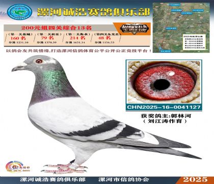 200元組四關(guān)鴿王13名