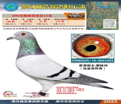 200元組四關(guān)鴿王15名