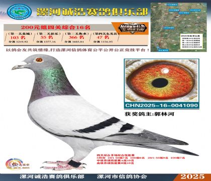 200元組四關(guān)鴿王16名