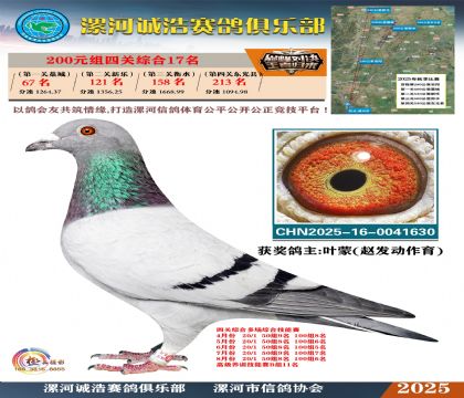 200元組四關(guān)鴿王17名