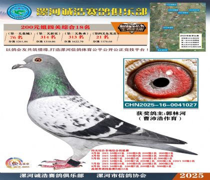 200元組四關(guān)鴿王18名