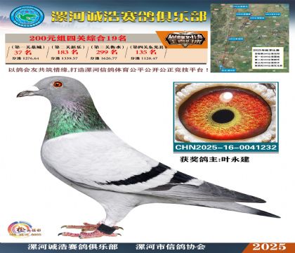 200元組四關(guān)鴿王19名