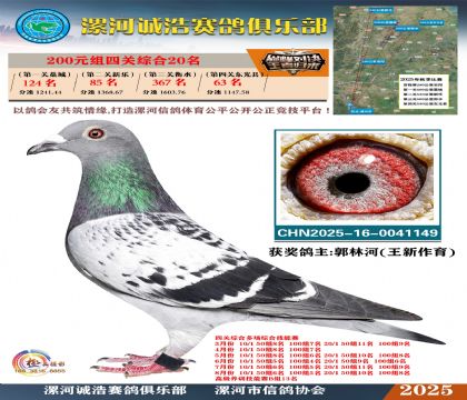 200元組四關(guān)鴿王20名