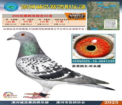 200元組四關(guān)鴿王22名