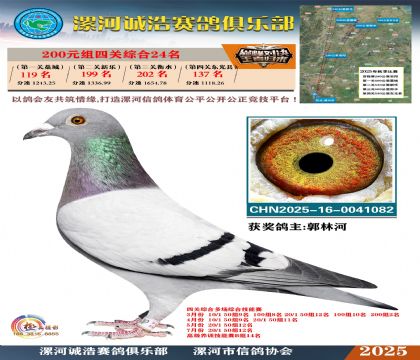 200元組四關(guān)鴿王24名