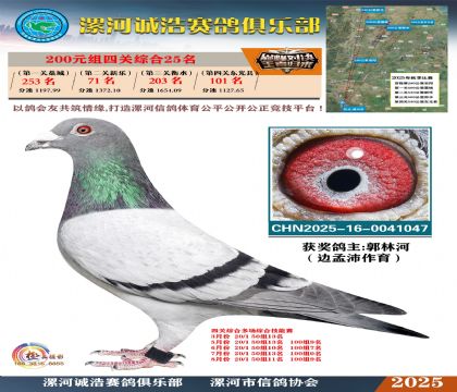 200元組四關(guān)鴿王25名