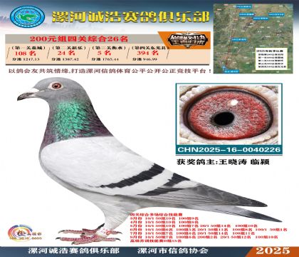 200元組四關(guān)鴿王26名