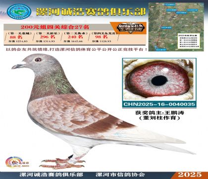 200元組四關(guān)鴿王27名