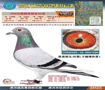 200元組四關(guān)鴿王30名