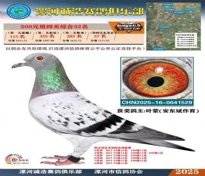 200元組四關(guān)鴿王32名