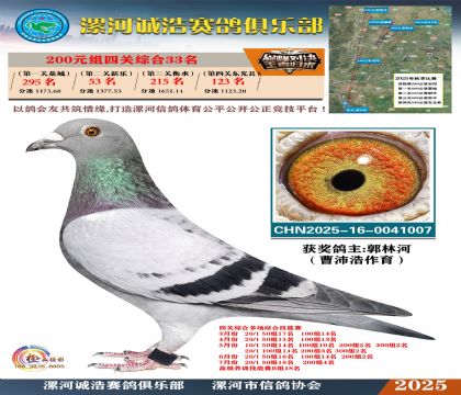 200元組四關(guān)鴿王33名