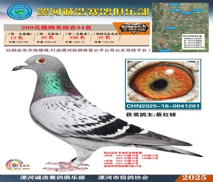 200元組四關(guān)鴿王34名