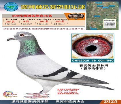 200元組四關(guān)鴿王36名
