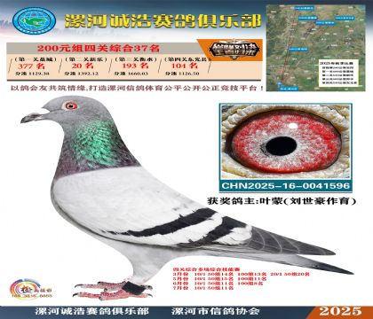 200元組四關(guān)鴿王37名