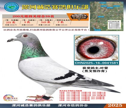 200元組四關(guān)鴿王38名