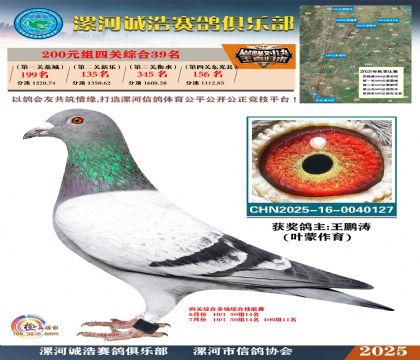 200元組四關(guān)鴿王39名