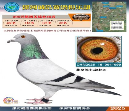200元組四關(guān)鴿王40名