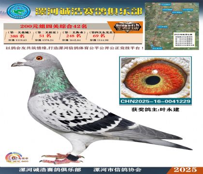 200元組四關(guān)鴿王42名