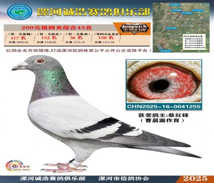 200元組四關(guān)鴿王43名