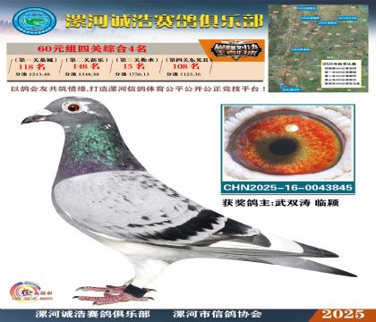 60元組四關(guān)鴿王4名