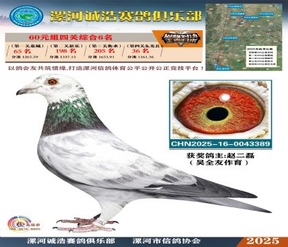 60元組四關(guān)鴿王6名