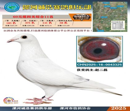 60元組四關(guān)鴿王11名