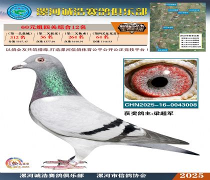 60元組四關(guān)鴿王12名
