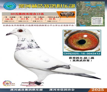 60元組四關(guān)鴿王13名