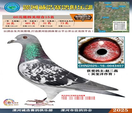 60元組四關(guān)鴿王15名