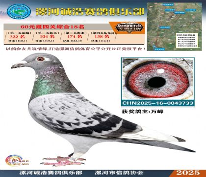 60元組四關(guān)鴿王18名