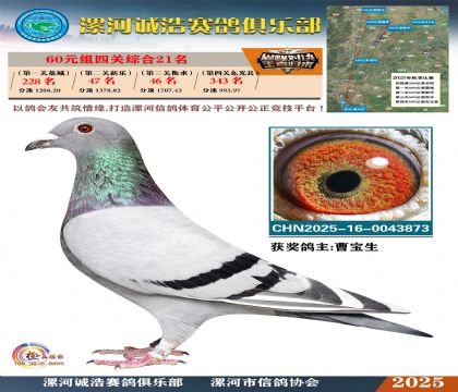 60元組四關(guān)鴿王21名